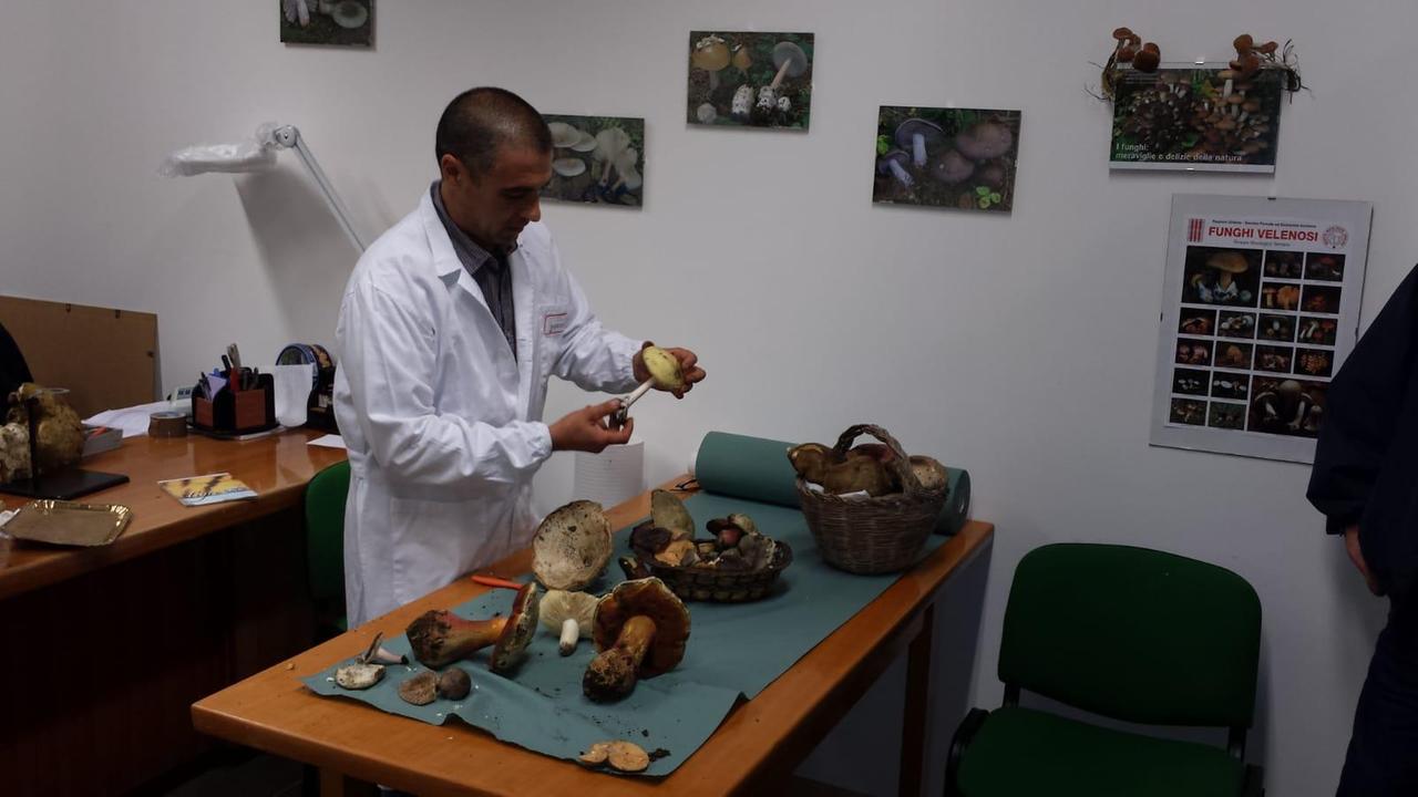 Il controllo dei funghi all'Ispettorato micologico di Rizzeddu