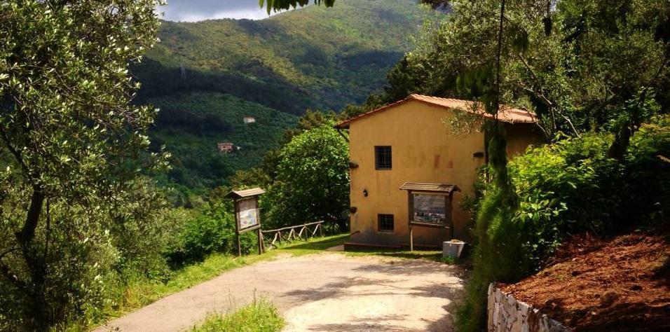 Natura e degustazioni Al via gli eventi sul Monte Castellare