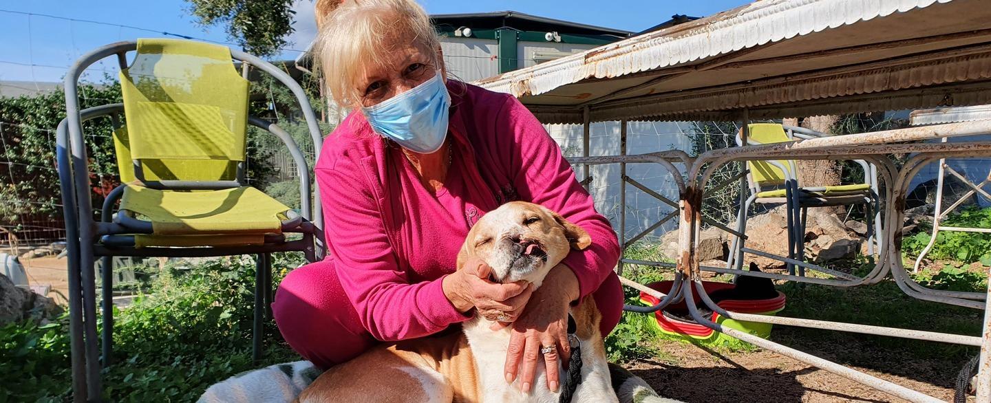 A Olbia 600 cani e 200 gatti: il rifugio della Lida, un’arca contro la crudeltà 