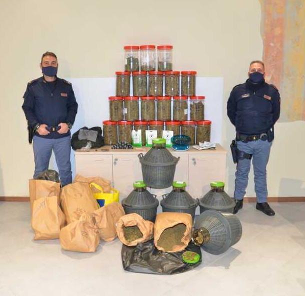 La marijuana scoperta dai poliziotti del commissariato di Pescia nella nottata di venerdì scorso