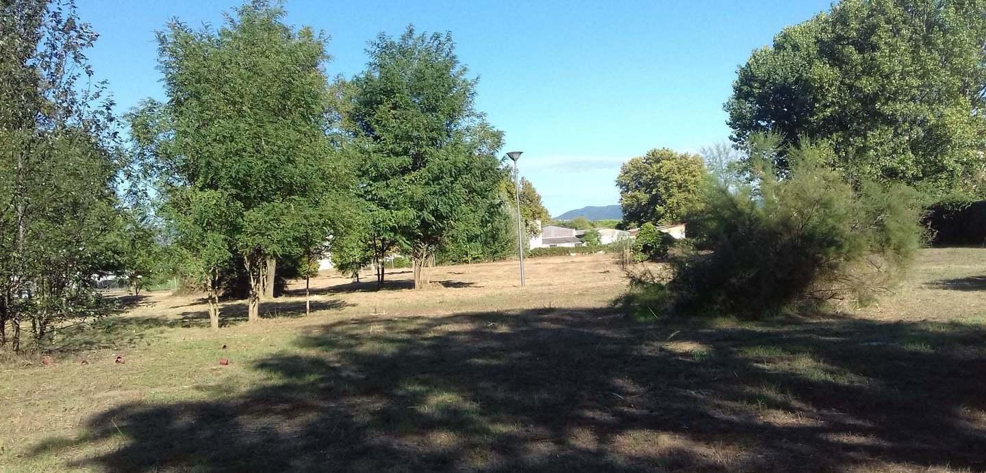 Al parco della Vetraia nasce un nuovo bosco con oltre 70 alberi 