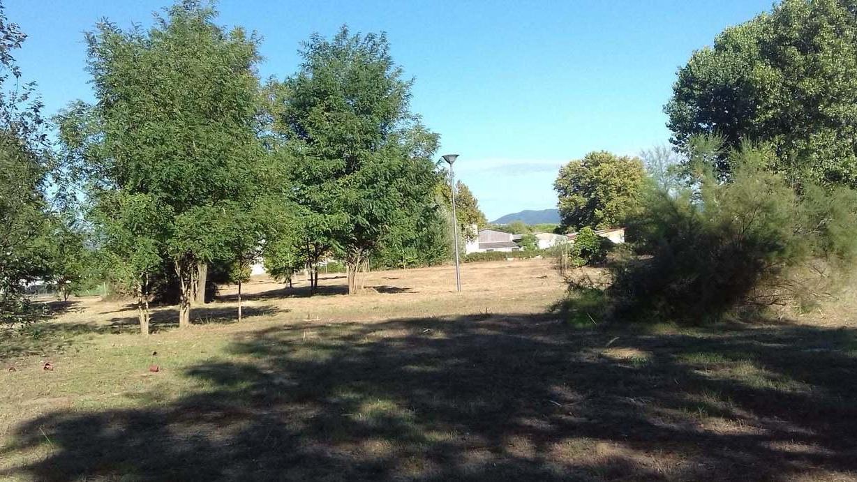 Al parco della Vetraia nasce un nuovo bosco con oltre 70 alberi