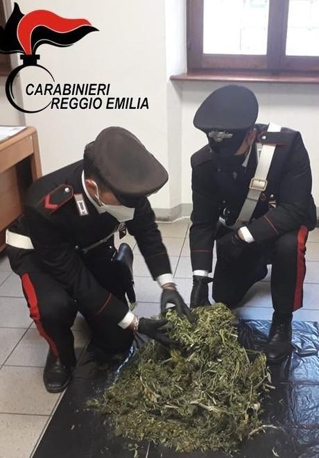 Essiccava marijuana nel sottotetto di casa Studente di 17 anni segnalato al tribunale 