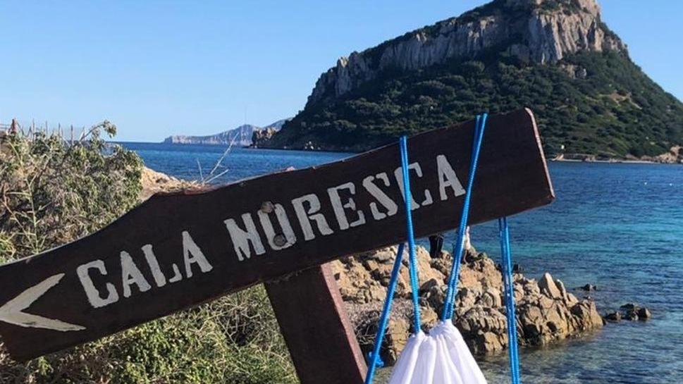 Il comitato contro le ostriche pulisce Baracconi e cala Moresca