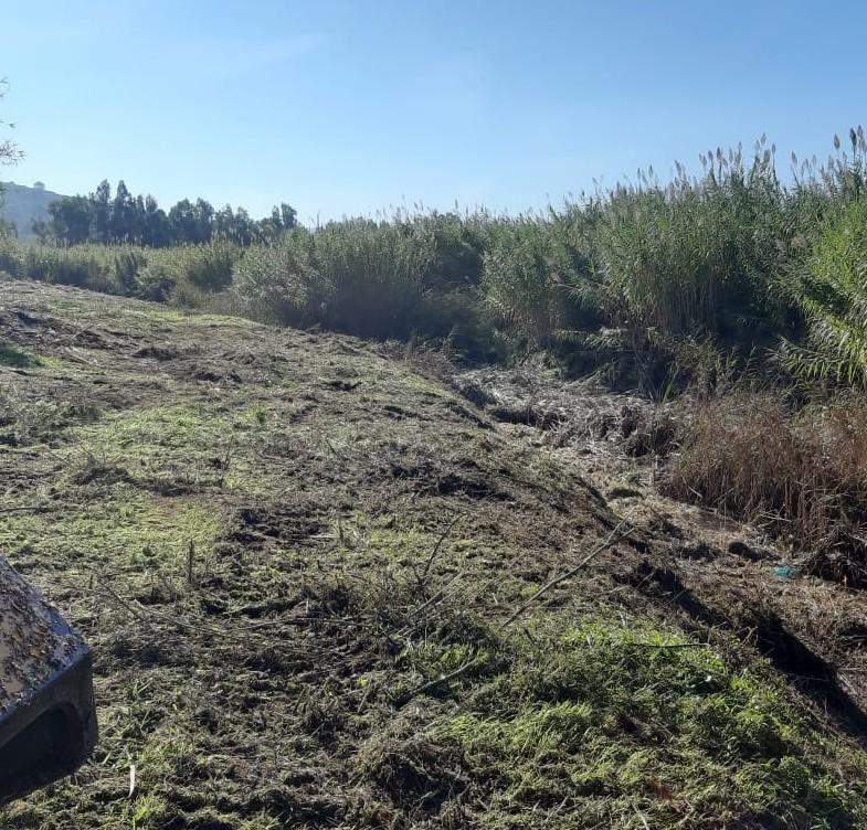 Pulizia dei canali, il Comune dà il via ai lavori negli alvei 