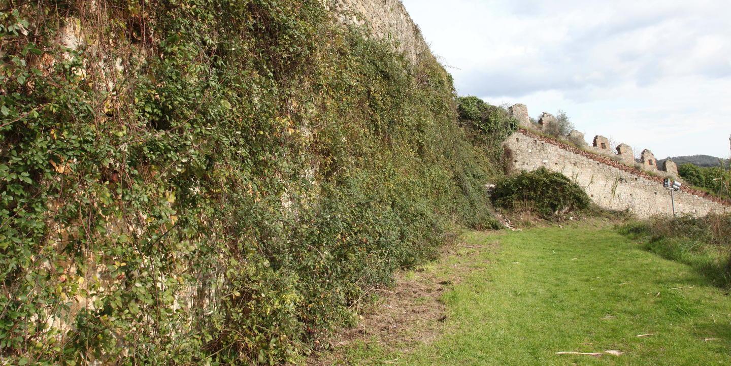 Sos di due storici: preoccupante degrado della Rocca 