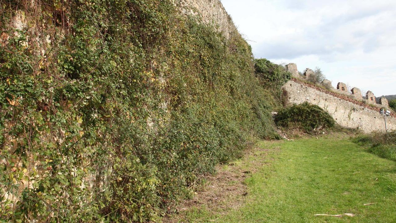 Sos di due storici: preoccupante degrado della Rocca