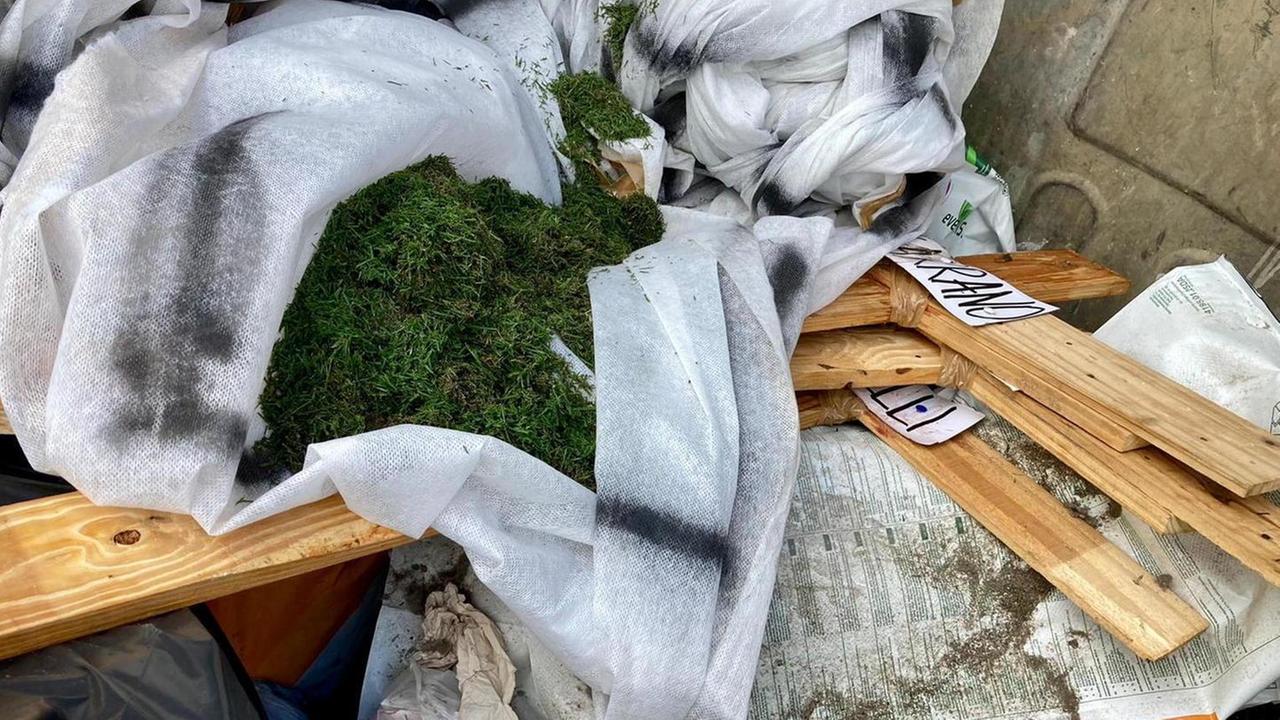 Croci, un maiale e minacce contro i vertici del Livorno