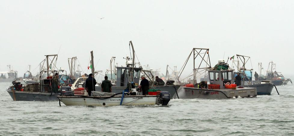 Pesca, tensione fra le coop sulla gestione della nursery 