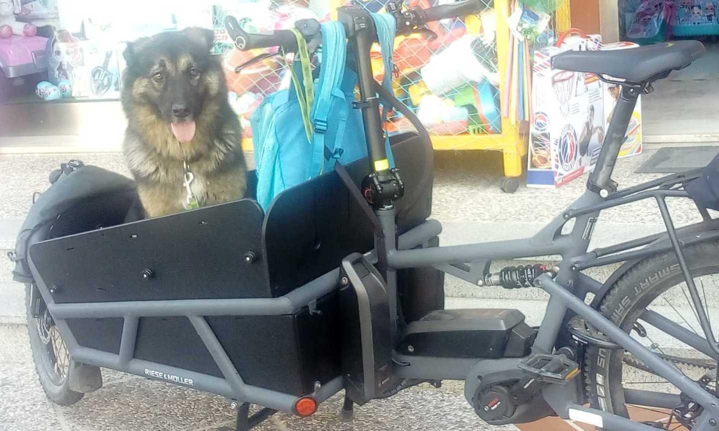 In bicicletta con l’amico più fedele