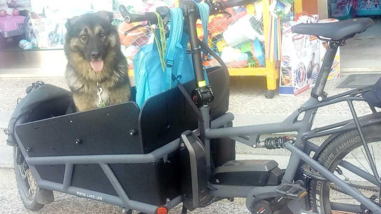 In bicicletta con l’amico più fedele