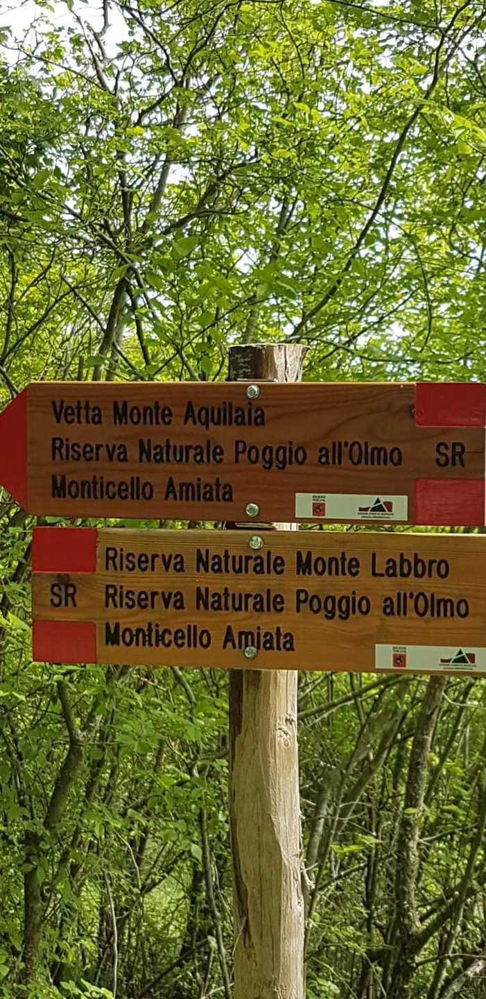 La Riserva naturale di Poggio all’Olmo sarà gestita dalla Biofan