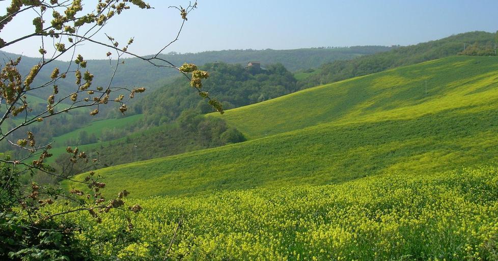 Escursione fra i gessi di Borzano