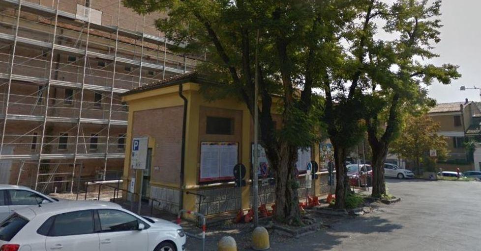 Tre alberi da abbattere
