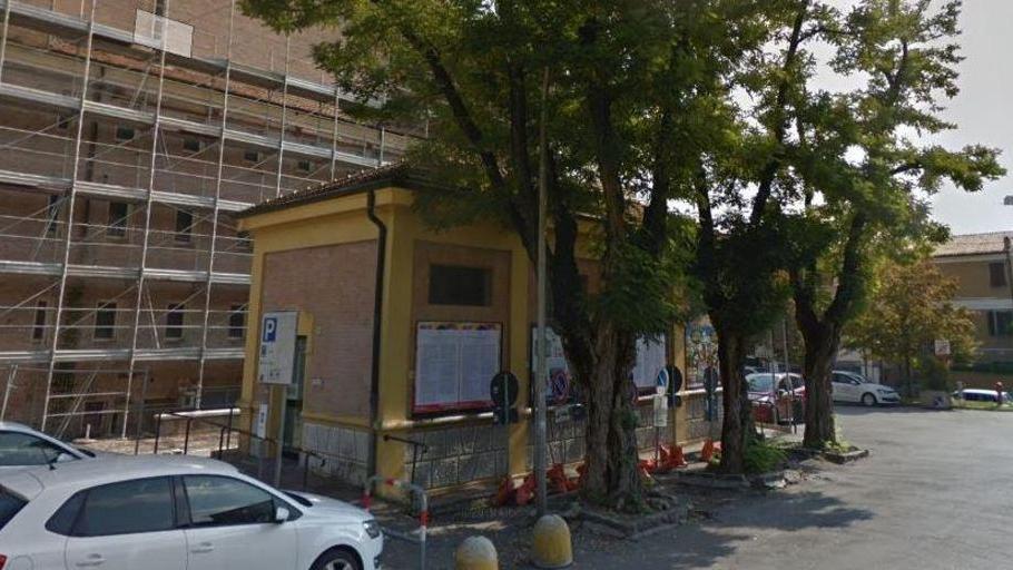 Tre alberi da abbattere