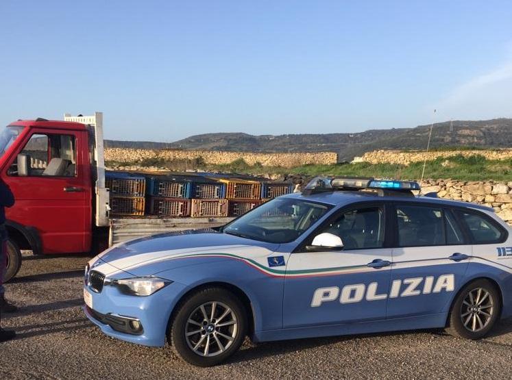 Il controllo di un camion che trasporta animali vivi da parte della polizia stradale, immagine di repertorio