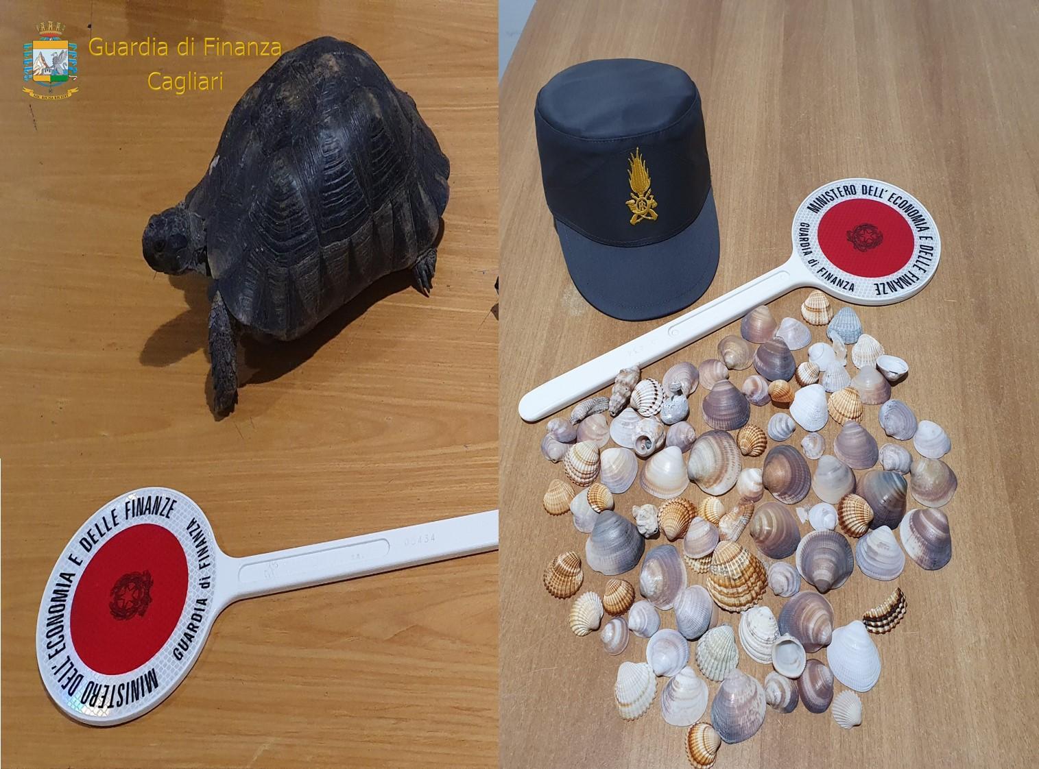 Una tartaruga protetta e sabbia il bottino di cinque turisti in partenza dalla Sardegna