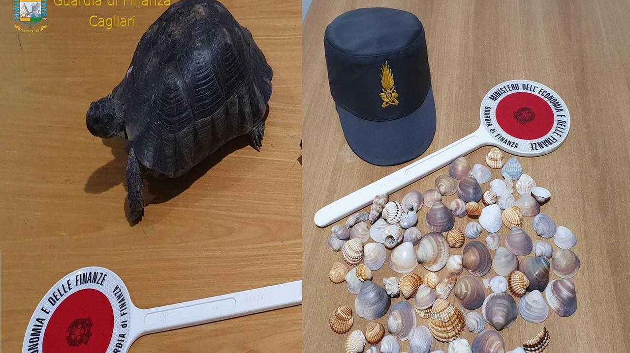 Una tartaruga protetta e sabbia il bottino di cinque turisti in partenza dalla Sardegna