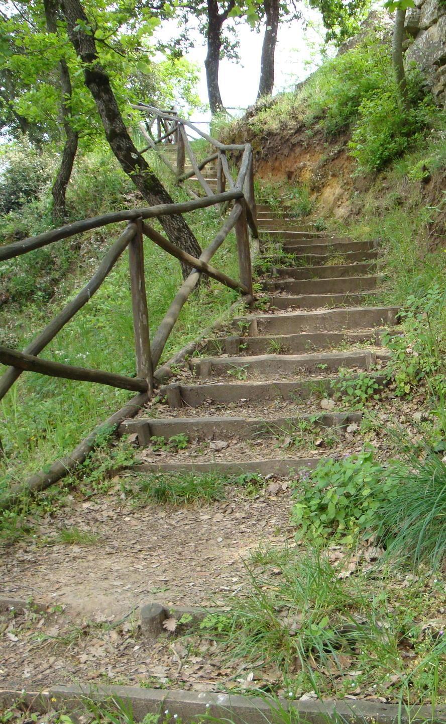 Sette chilometri di sentieri lungo le mura etrusche per gli amanti del trekking 