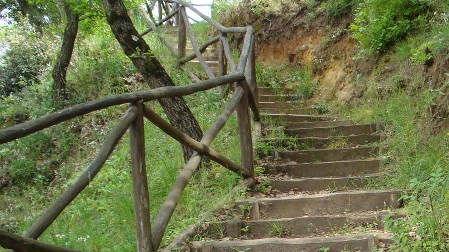 Sette chilometri di sentieri lungo le mura etrusche per gli amanti del trekking