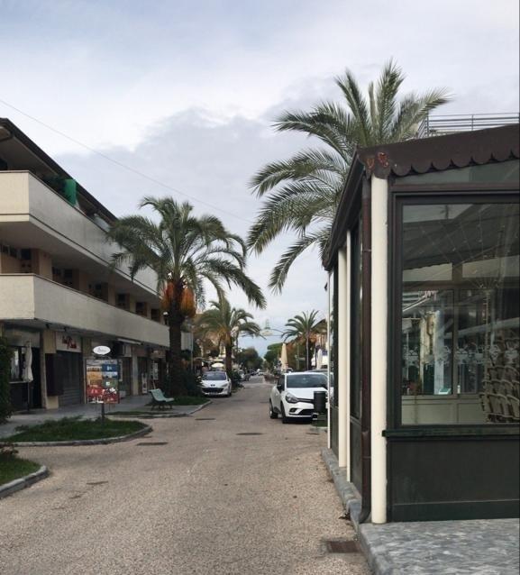 I commercianti che resistono nell’autunno di via Versilia 