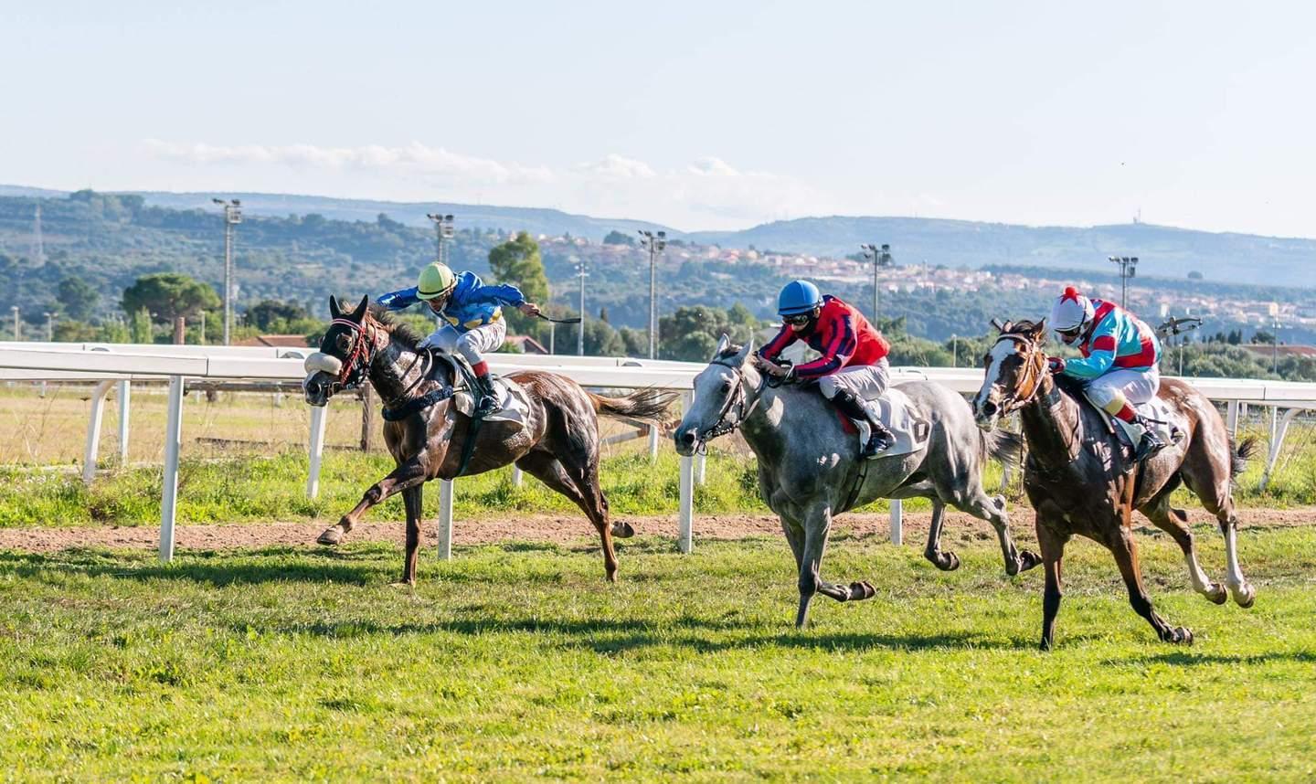 Galoppo, via alla quarta riunione autunnale