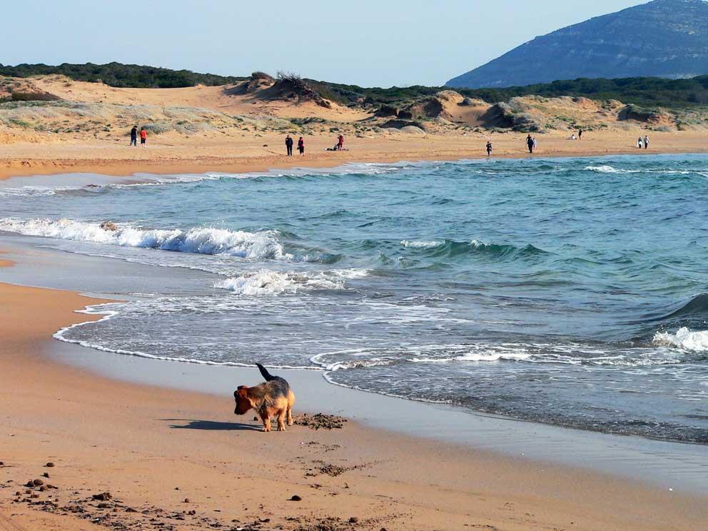 Porto Ferro, Sassari (foto Alberto Maisto)