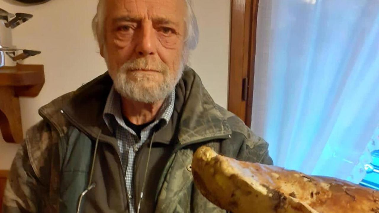 Un fungo porcino di un chilo e mezzo