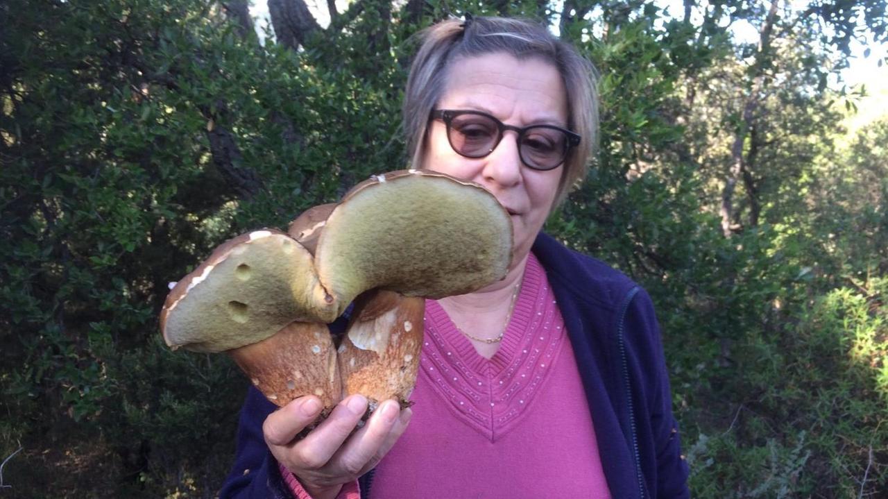 Porcino da un chilo, il ricco bottino di una coppia di Villacidro
