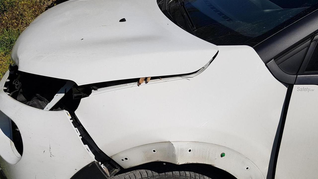 L’auto dell’infermiera dopo l’impatto con il daino