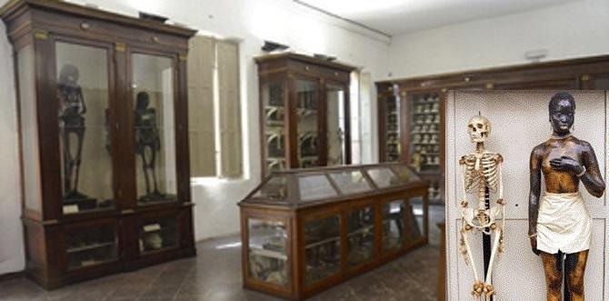 Corradini: «Il patrimonio museale degli Atenei tesoro che merita la ribalta migliore» 