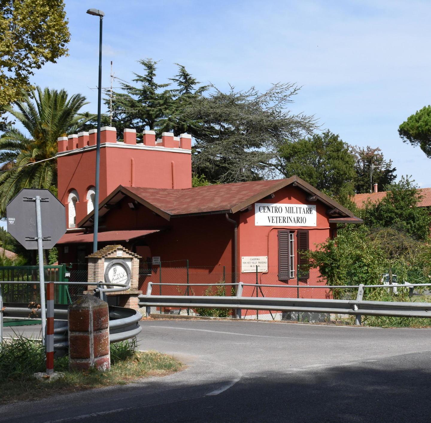 Morì il cane Ayko Nessuna colpa, caporale assolto
