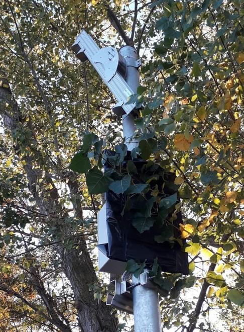 Codigoro. L’autovelox sulla Romea nel mirino dei vandali. E ancora non è in funzione 