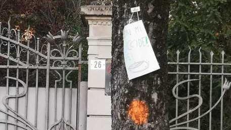 «Non uccidete gli alberi»