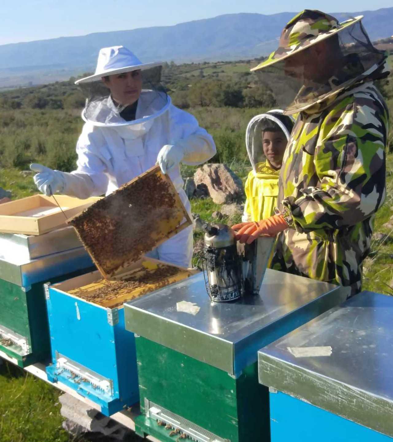 Dalla chimica al miele Tre gocce d’oro a Ottana 