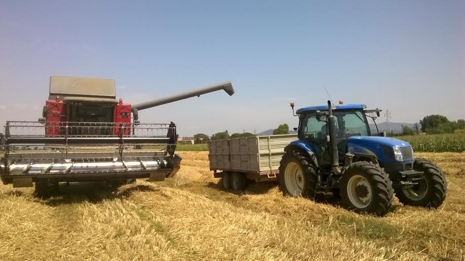 Agricoltori al lavoro in Maremma