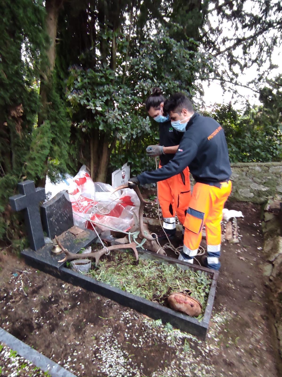 I volontari della Vab sulla carcassa del cervo