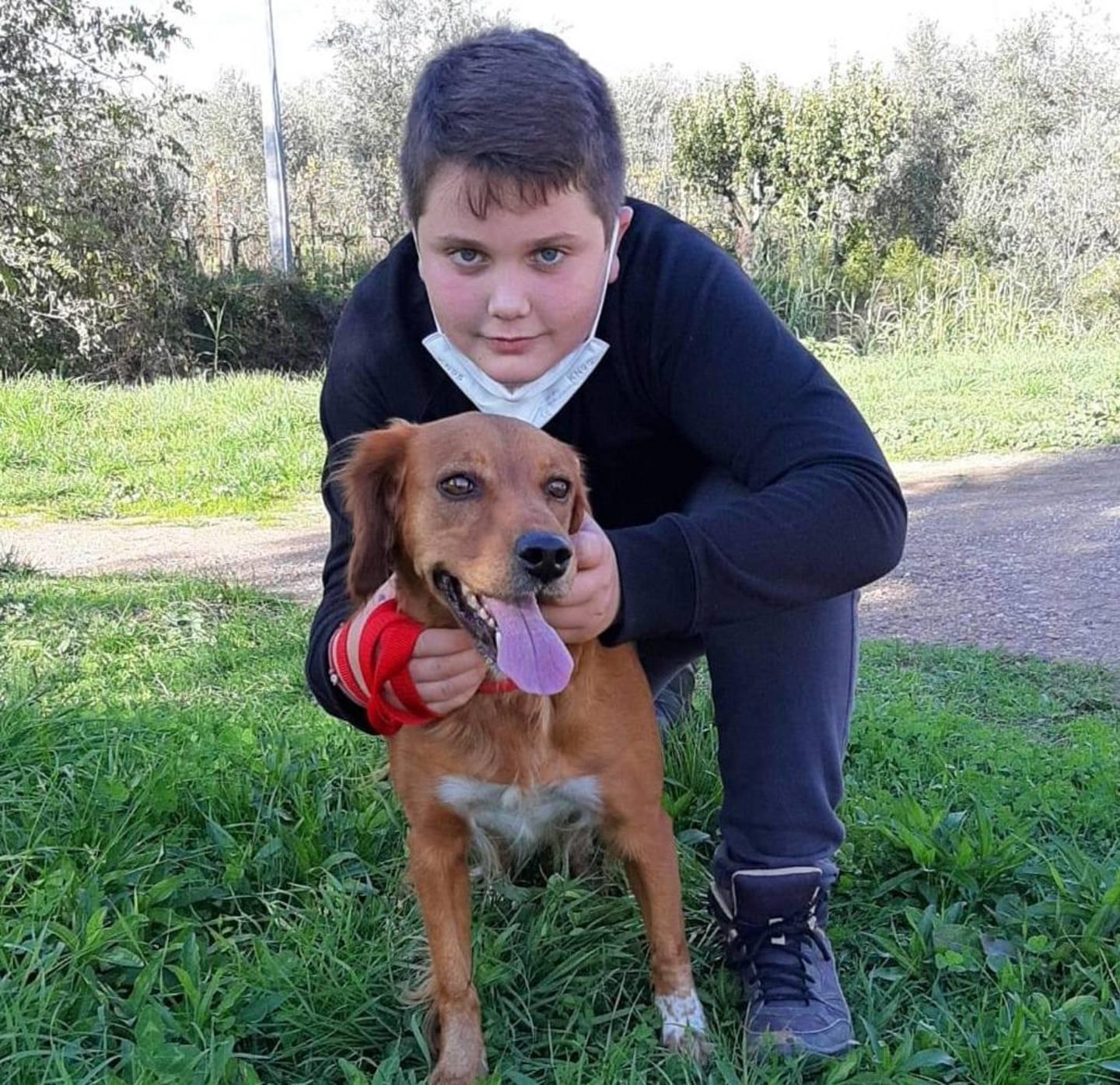 Mami ha trovato una casa Ecco come adottare un cane