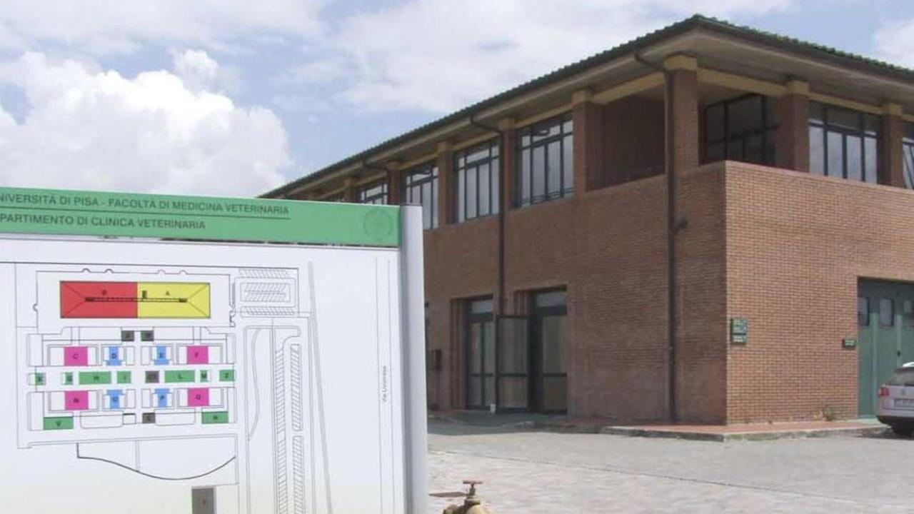 Peculato, niente attenuanti per ex impiegato di veterinaria