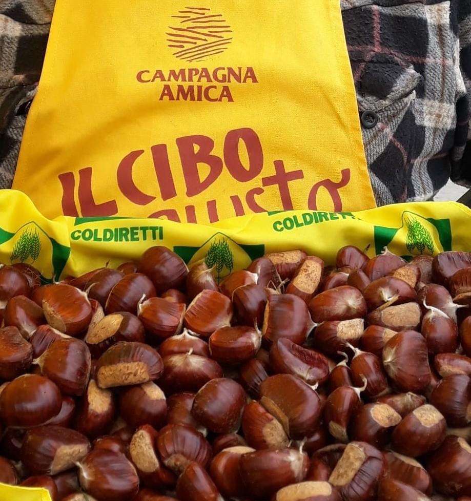 Castagne, cresce la produzione grazie alla lotta biologica 