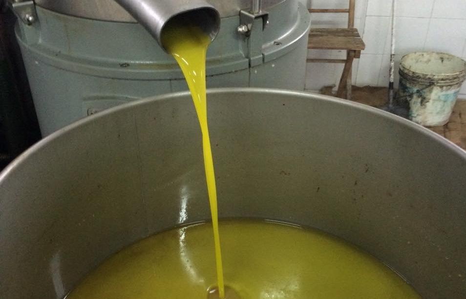 Olio extra vergine: la ripresa non basta 