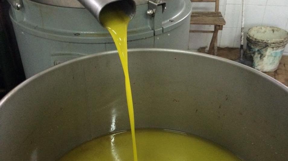 Olio extra vergine: la ripresa non basta