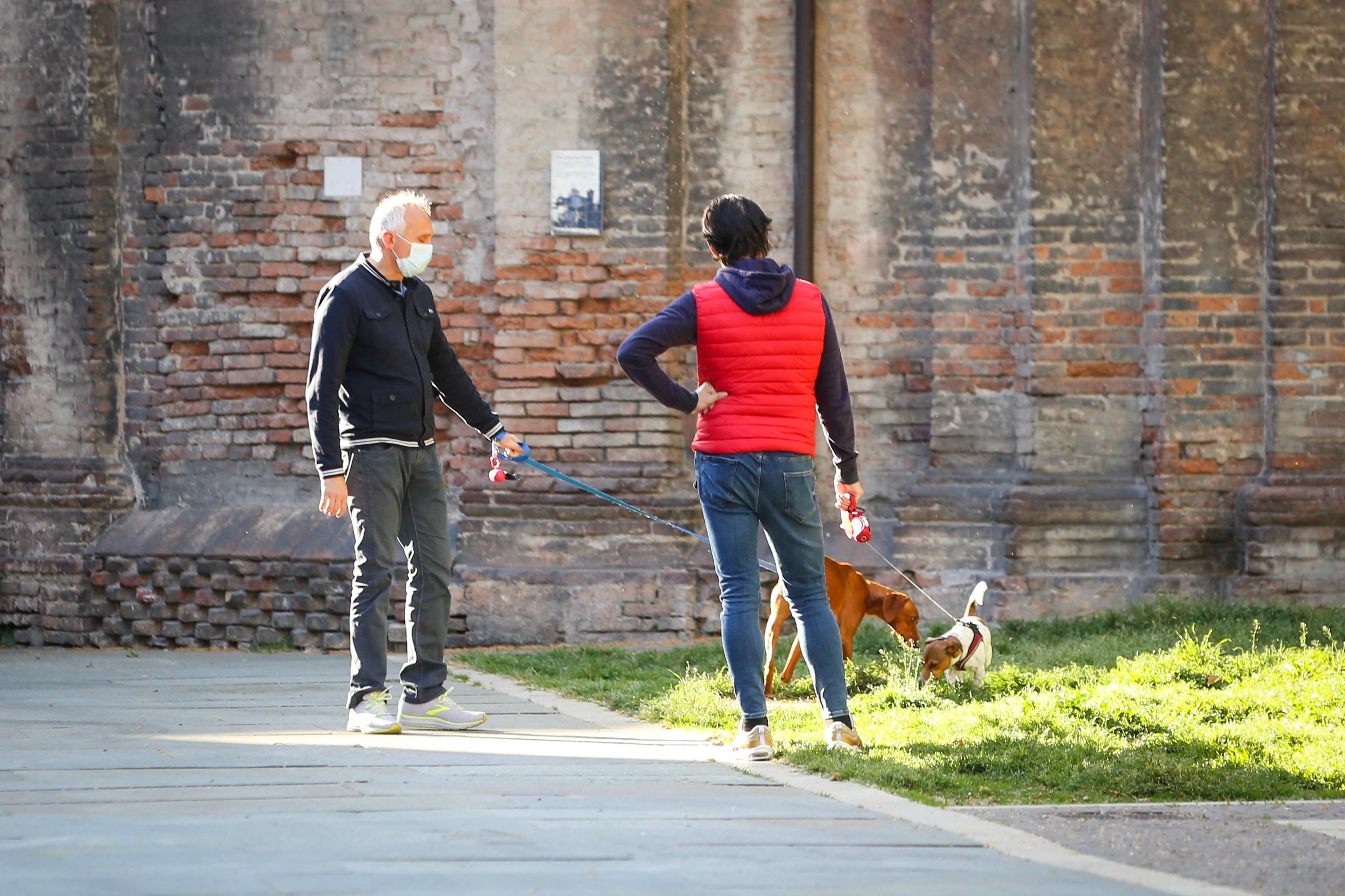 Modena, sei in quarantena e hai un cane? Niente paura ci pensano i volontari del Comune 