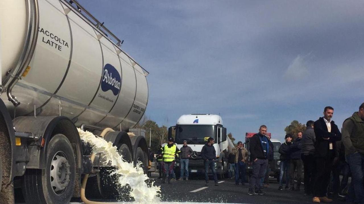 Protesta del latte, blocco e danneggiamenti: sotto indagine 38 pastori 