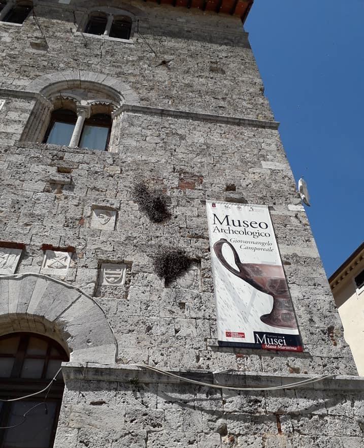 I musei in cerca di un gestore Un bando per tutte le strutture 