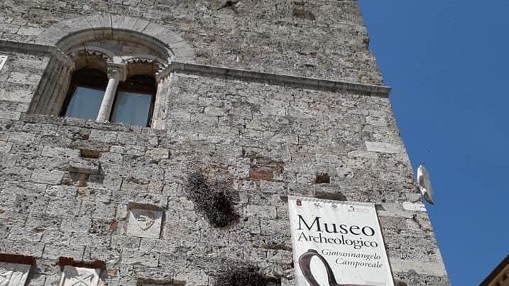 I musei in cerca di un gestore Un bando per tutte le strutture
