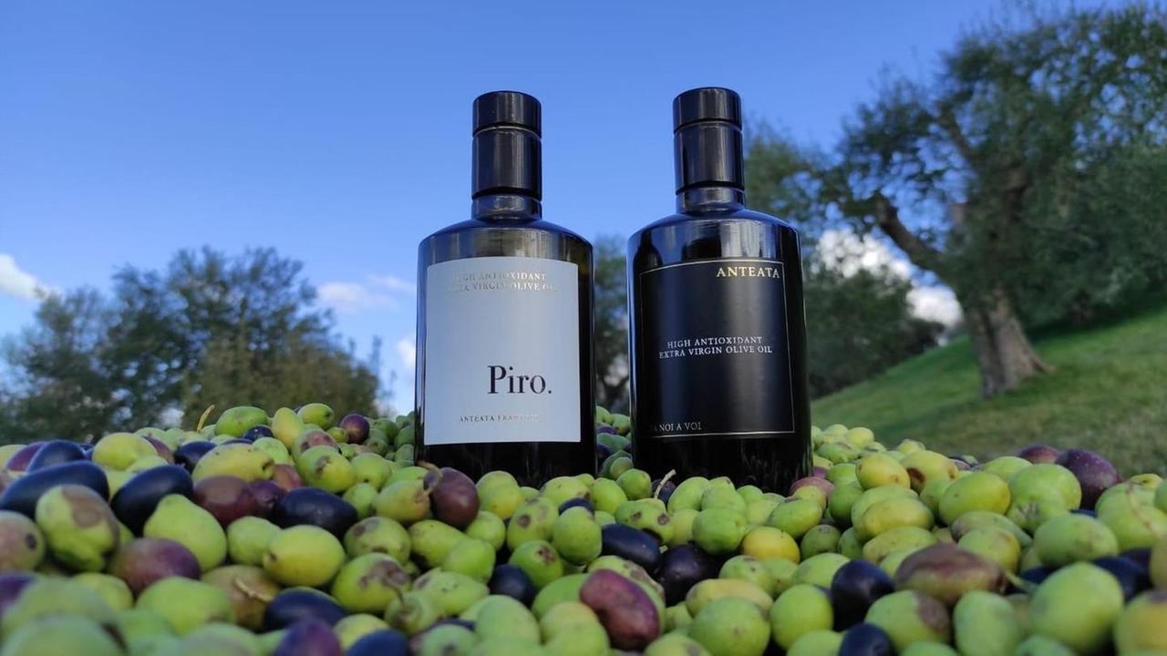 L’Olio Piro è primo al concorso Flos Olei