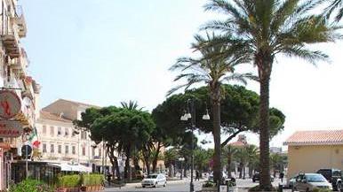Addio al pino centenario delle Poste