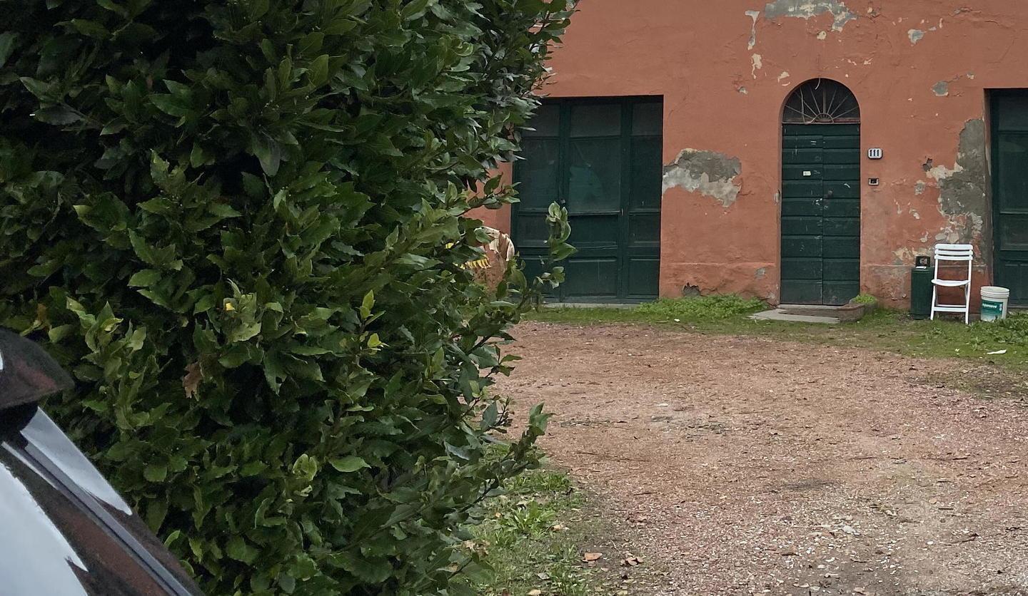 Trovata morta in un casolare a 21 anni: l’allarme dall’amico che la ospitava. Era mamma da pochi mesi