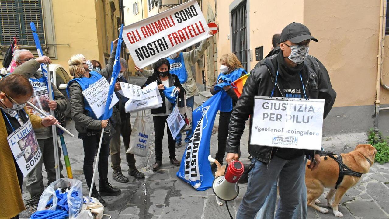 Gli animalisti davanti al tribunale di Pistoia (foto Gori)